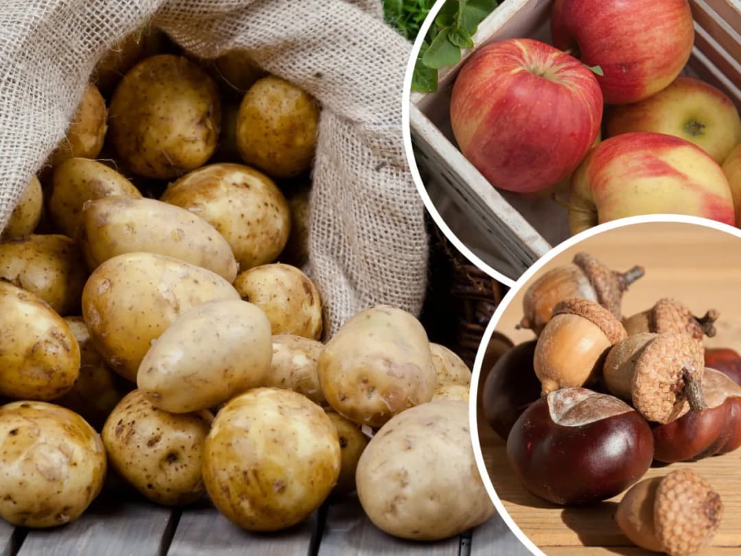 Jak przechowywać ziemniaki w kuchni, aby uniknąć ich psucia?
